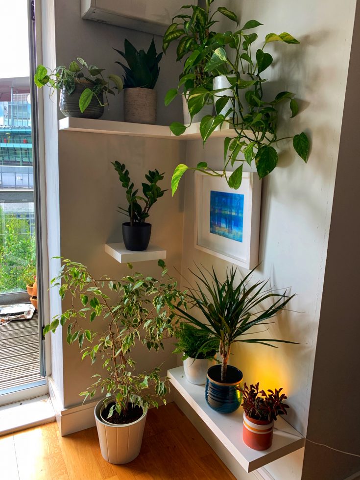 Half Alcove Shelves installed in L shape